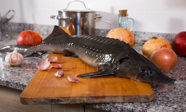 Picture of raw fish sturgeon at plate before preparing