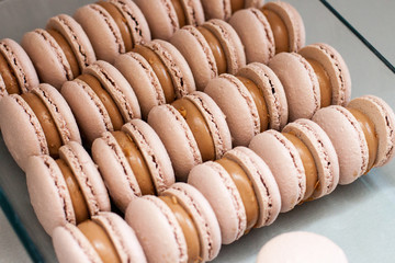 Close up view on french chocolate macaroons with glossy chocolate filling. Selective focus.