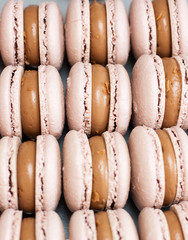Close up view on french chocolate macaroons with glossy chocolate filling. Selective focus.