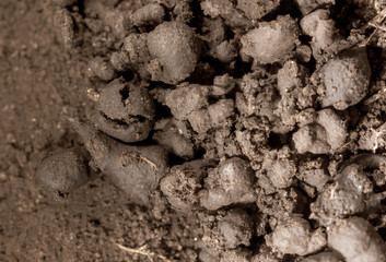 Earth eaten by termites as a background