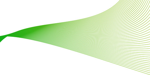 blank green wavy line background