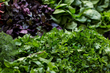 bunches of greens, dill, parsley, basil, cilantro on the counter of a farm fair.
