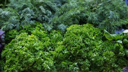 bunches of greens, dill, parsley, basil, cilantro on the counter of a farm fair.