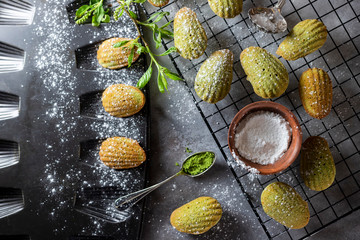 Madeleine homemade cookies with matcha tea. Selective focus, copy space.
