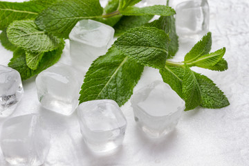 Ice and mint on white background.