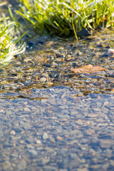 Course of the stream with pebbles on a sunny winter day