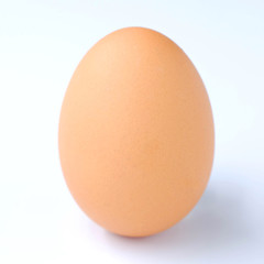 Close-up view of raw chicken eggs on white background