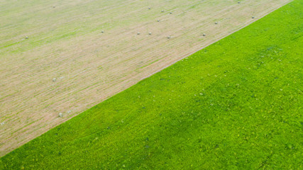 Agricultural field diagonally divided by different colors