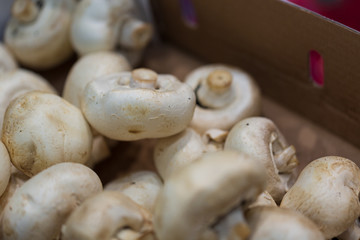White button mushrooms at the market