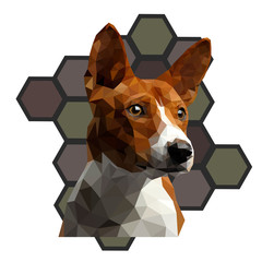 Dog breed Jack Russell Terrier polygonal vector image