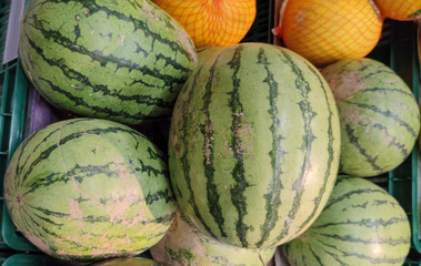 Watermelon for sale in fruit and vegetable gondolas in supermarket
