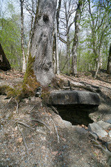 Ancient dolmen in the Caucasus mountains, Sochi, Russia.