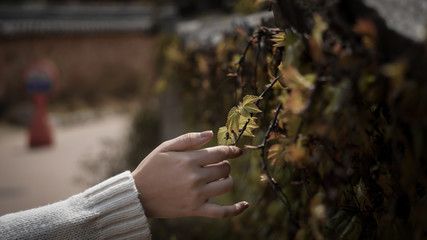 young woman holding a leaf