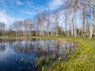 sunny spring day landscape, bright blue sky with white clouds, reflected in the lake water
