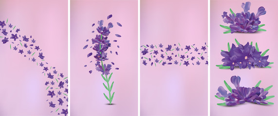 3D realistic flowers lavender with green leaf. Fragrant lavender on violet background. Beautiful lavender closeup. Violet lavender in motion.Top view. Vector illustration