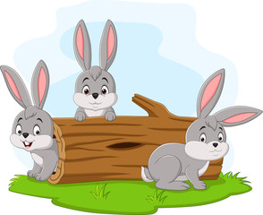 Three rabbit cartoon playing in the log