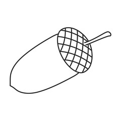 Acorn vector icon.outline vector icon isolated on white background acorn .