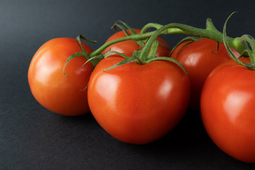 Red tomatoes on a vine on a black background. 