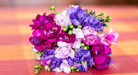 Fototapeta na wymiar Bouquet of Pink and Purple Freesia Flowers 