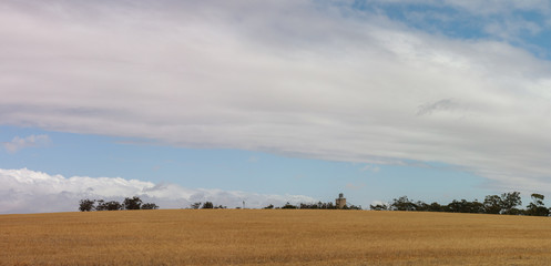 Obraz na płótnie Canvas panoramic image of a cloudy blue sky over dry grassy farmland in rural Victoria, with silos on the horizon and native trees, Australia