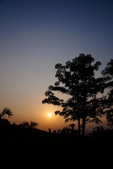 Fototapeta na wymiar Sunset, tree, sky Silhouette, Landscape, 