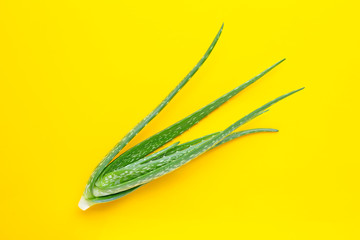 Aloe vera is a popular medicinal plant for health and beauty