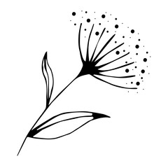 A collection of illustrations for drawing a wild flower. For the design of drawings, logos, templates, banners, posters, invitations, and greeting cards.Black outline in Doodle style on an isolated