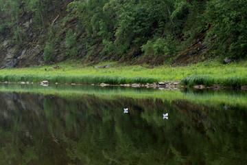 Picturesque view of mountain river in summer. Smooth water surface holding two tiny paper boats, reflecting green grass and rocks covered with trees. Beauty of nature, landscapes, idyllic concept