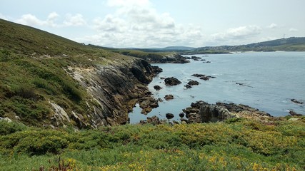 Fototapeta na wymiar cliff with grass next to the sea