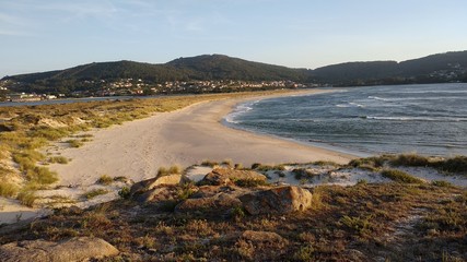 landscape of the beach