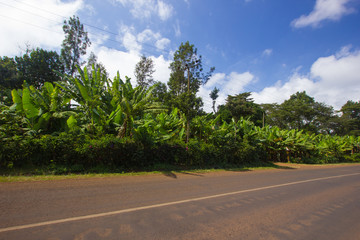 Fototapeta na wymiar Main street through Marangu in Tanzania, Africa