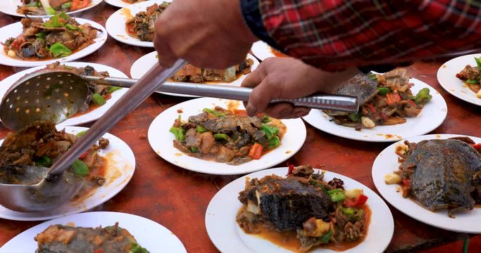 Delicious braised turtle,Chinese traditional cuisine.