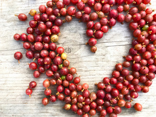 Red gooseberries. Harvest of fresh ripe red gooseberries on a wooden background.