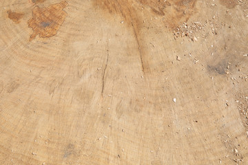 wood texture background