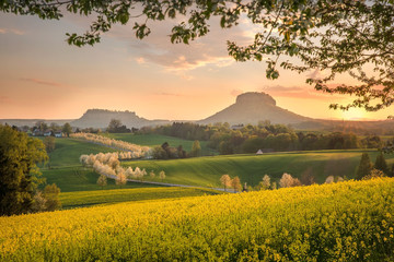 Blick auf Lilienstein in der Sächsischen Schweiz
