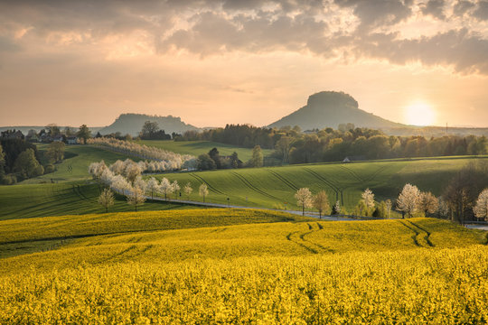Blick auf die Lilienstein in der S&auml;chsische Schweiz bei Sonnenuntergang im April