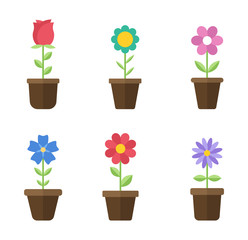 Flowers in pots flat icons. Color vector illustration. Different flowers in pots with green leaves vector illustration. Logo design, business and promotion concept