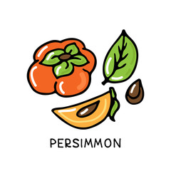 persimmon-08