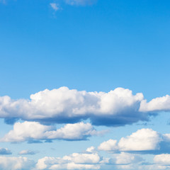 nanural square background - many low white cumulus clouds in blue sky on March day