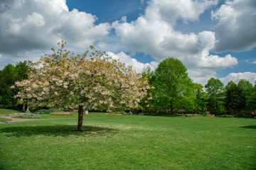 Panoramic view from Public Garden in Bath, UK