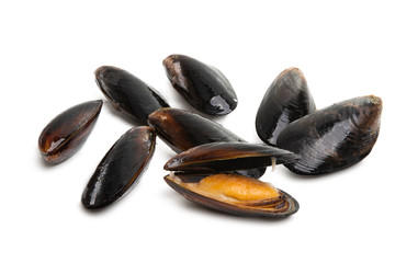 mussels isolated