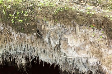 Failure in the ground above an underground stream. Earth, plant roots, dark water. For a site about...