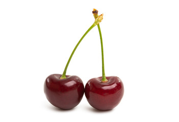 sweet cherry isolated