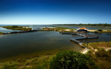 Sunny, summer day in The Divjake-Karavasta National Park - view from the observation platform in...