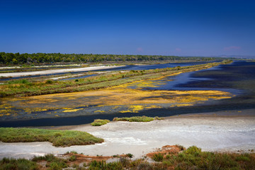 Sunny, summer day in The Divjake-Karavasta National Park - view from the observation platform in the Lagoon of Karavasta. Divjake, Fier County  - Albanian Adriatic Sea Coast.