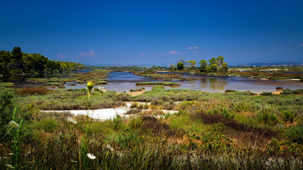Sunny, summer day in The Divjake-Karavasta National Park - view from the observation platform in the Lagoon of Karavasta. Divjake, Fier County  - Albanian Adriatic Sea Coast.