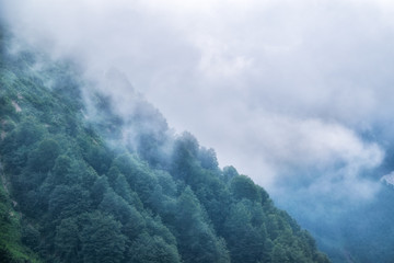 The green slopes of high mountains are hidden in clouds and fog.