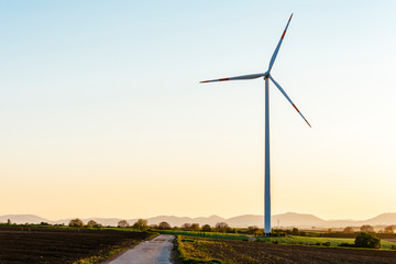 A dirt road leads through the Rhine plain to a single wind turbine.
