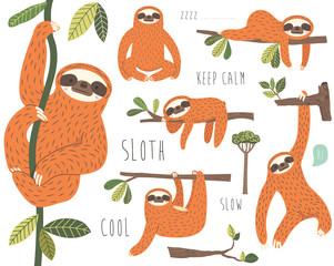 Set of Cute Sloth Hanging on Tree Collection © Leeyenz