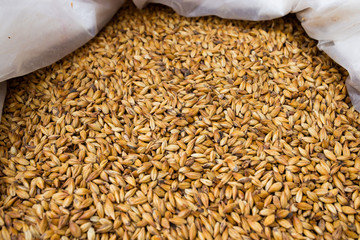 Brewers malt of different sorts packed in big bags